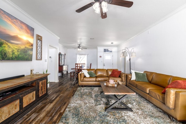 living room featuring dark wood finished floors, a ceiling fan, and crown molding