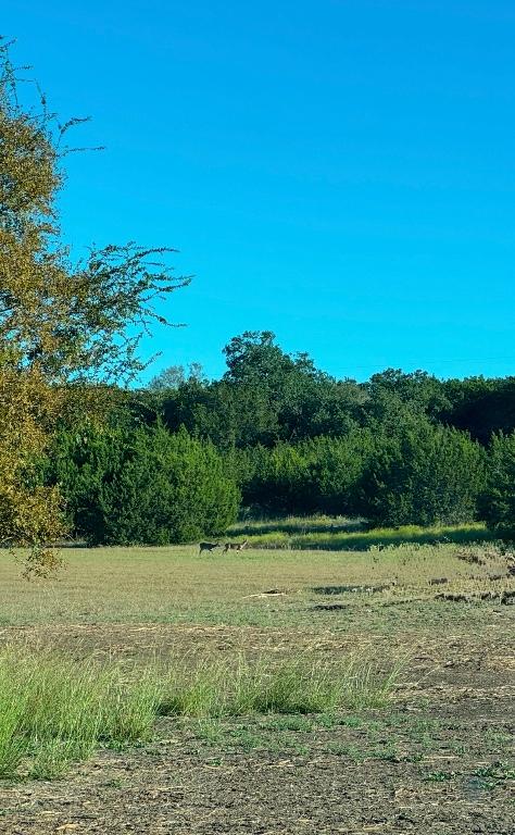 2160 County Road 204, Liberty Hill, TX 78642 - photo 20