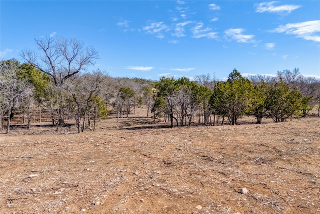 2160 County Road 204, Liberty Hill TX, 78642 land for sale