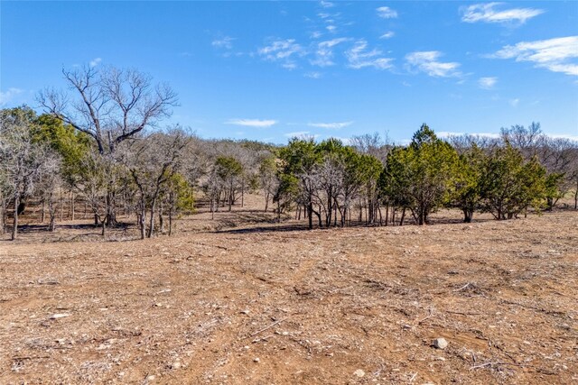 2160 County Road 204, Liberty Hill, TX 78642 - photo 1