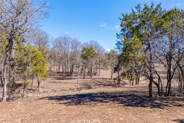 Listing photo 2 for 2160 County Road 204, Liberty Hill TX 78642