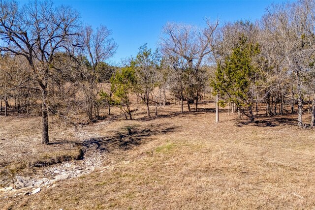2160 County Road 204, Liberty Hill, TX 78642 - photo 6