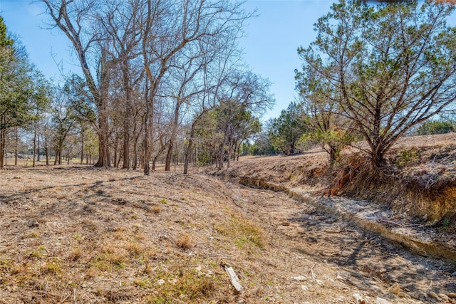 2160 County Road 204, Liberty Hill, TX 78642 - photo 7