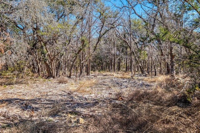 2160 County Road 204, Liberty Hill, TX 78642 - photo 9