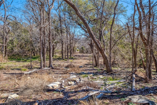 2160 County Road 204, Liberty Hill, TX 78642 - photo 10