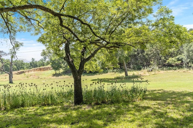 view of landscape