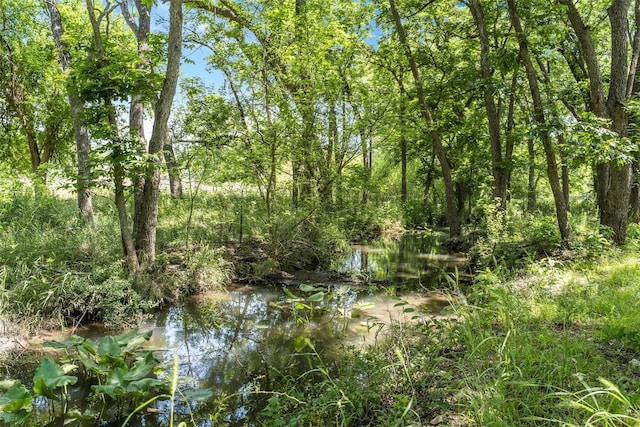 view of landscape featuring a forest view