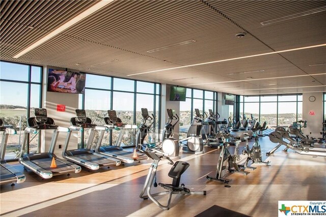 409 Flying Orchid Dr, San Marcos, TX 78666 - exercise room featuring a wall of windows