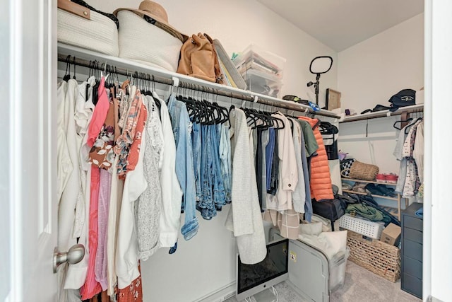 walk in closet featuring carpet floors