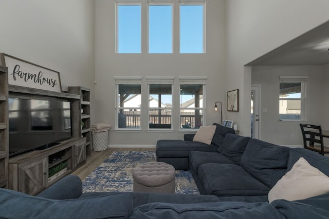 116 Evening Star Ln, Georgetown, TX 78628 - living area with a high ceiling, wood finished floors, and baseboards