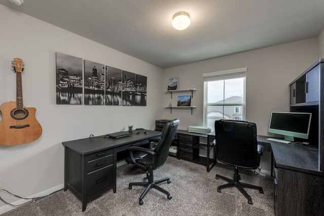 116 Evening Star Ln, Georgetown, TX 78628 - carpeted office with baseboards