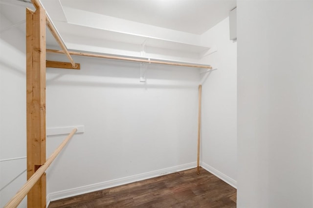 walk in closet featuring wood finished floors