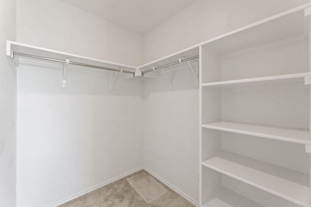 213 Lemon Light Ln, Pflugerville, TX 78660 - walk in closet with light colored carpet