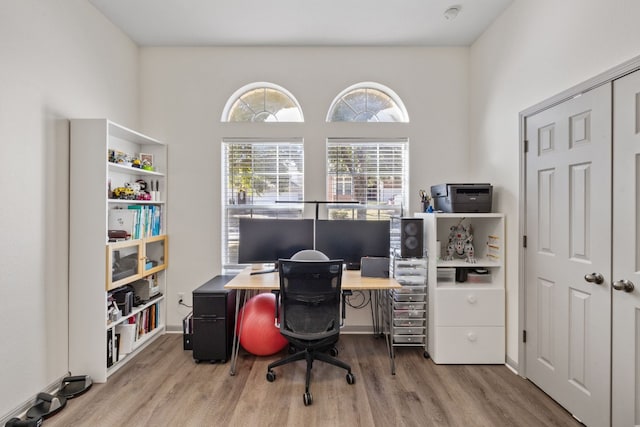 home office featuring wood finished floors