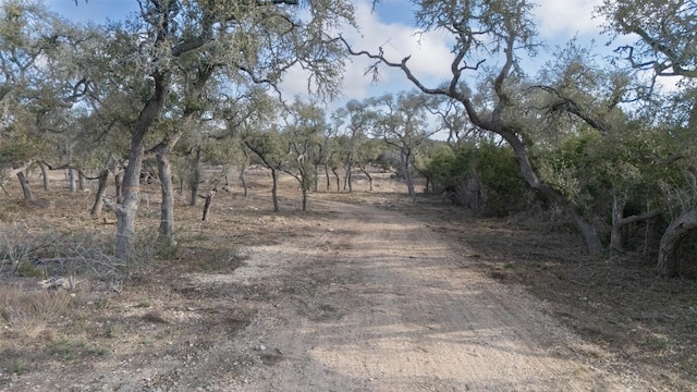 TBD Rm-32 Rd, Fischer, TX 78623 - photo 14