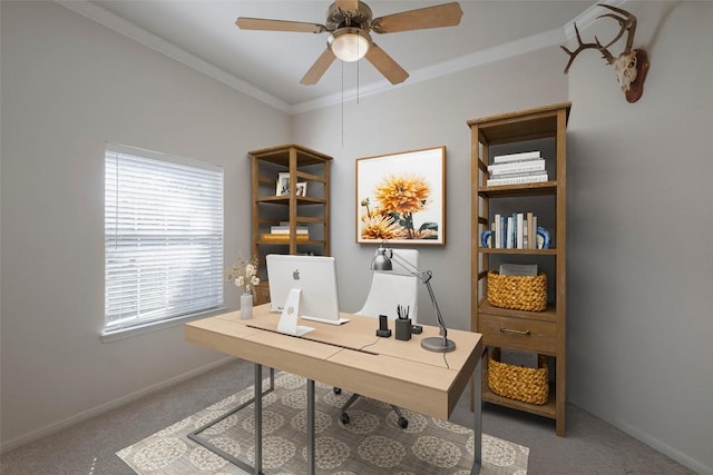 carpeted home office featuring baseboards, ceiling fan, and crown molding