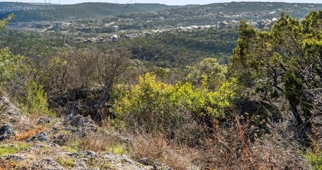 mountain view with a wooded view