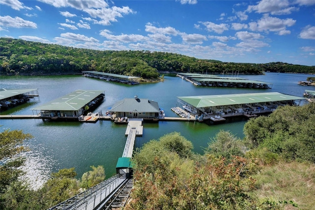 birds eye view of property with a water view and a view of trees