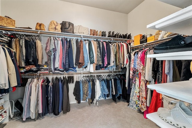 walk in closet featuring carpet floors