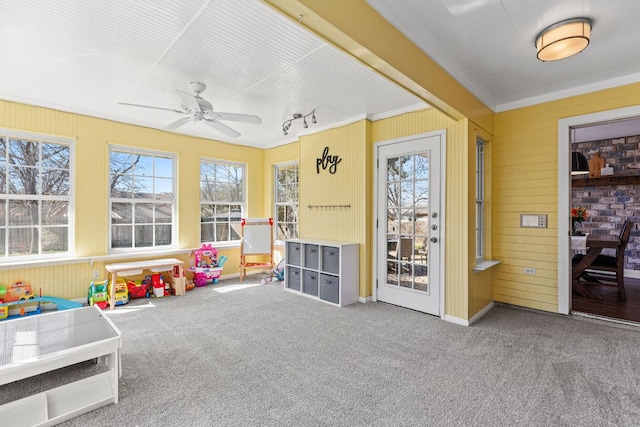 interior space with ceiling fan and rail lighting