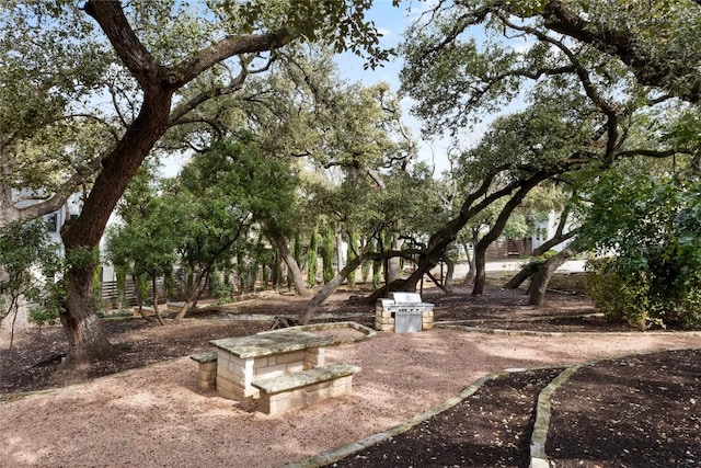 707 Cardinal Ln Unit E2, Austin, TX 78704 - photo 27