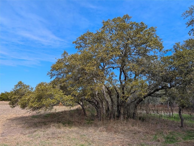 351 Crossroads Dr, Dripping Springs, TX 78620