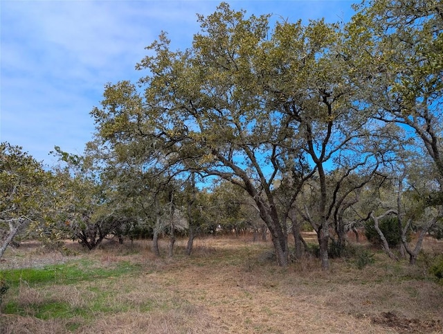 351 Crossroads Dr, Dripping Springs, TX 78620