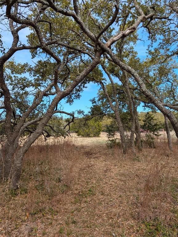 351 Crossroads Dr, Dripping Springs, TX 78620