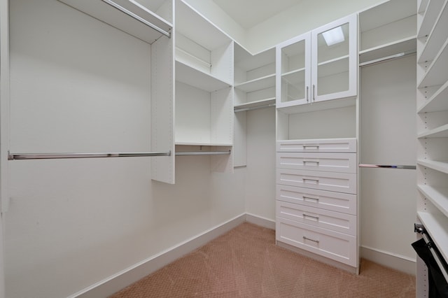 spacious closet with light carpet