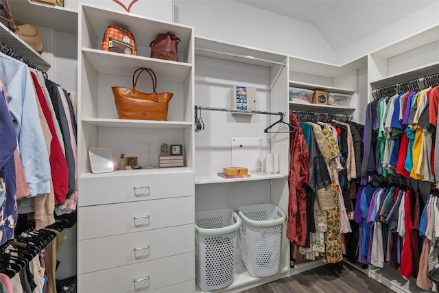 walk in closet with lofted ceiling and wood finished floors