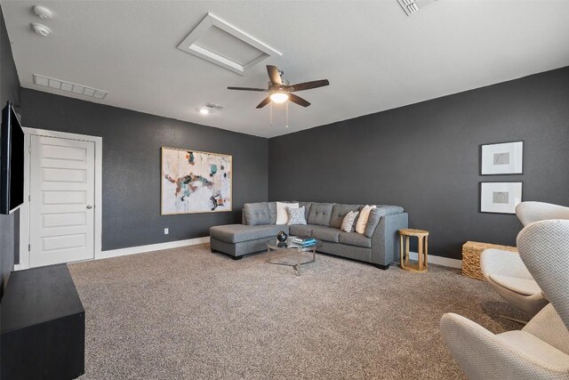 20813 Claire Jean Path, Pflugerville, TX 78660 - photo 27