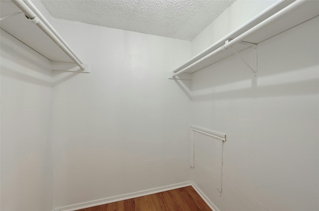 spacious closet featuring wood finished floors