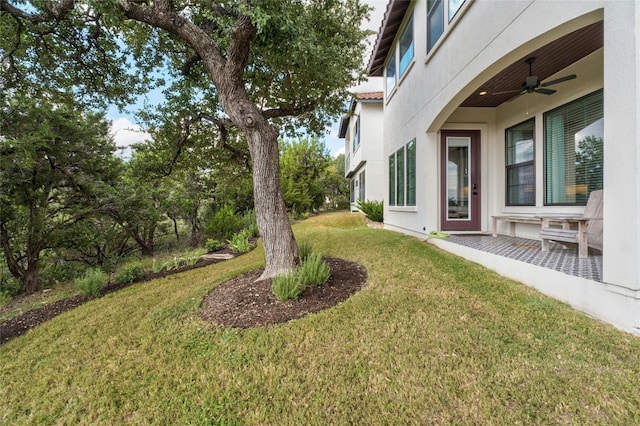 view of yard featuring a patio area and ceiling fan