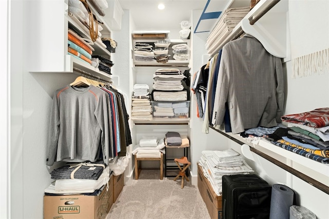 spacious closet with carpet floors