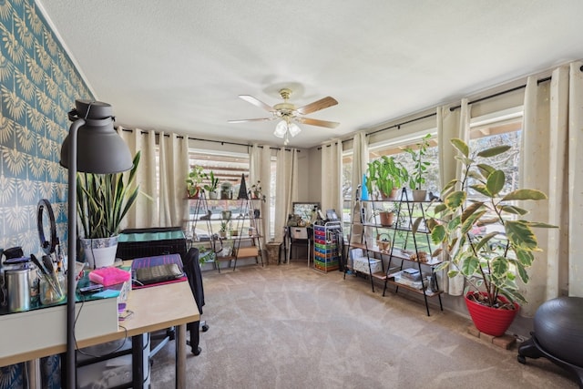 office featuring wallpapered walls, a textured ceiling, a wealth of natural light, and carpet flooring