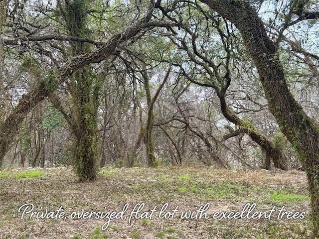 view of nature featuring a forest view