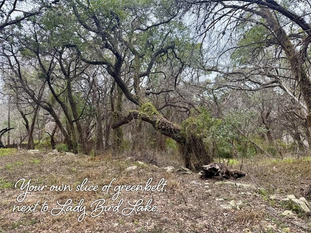 view of local wilderness featuring a forest view