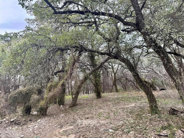 view of landscape featuring a wooded view