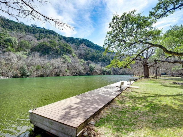 view of property's community with a water view, a lawn, a dock, and a view of trees