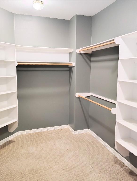 walk in closet featuring carpet flooring