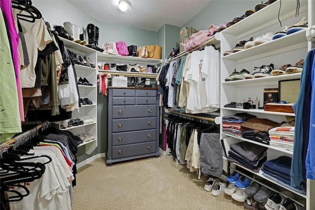 spacious closet featuring carpet