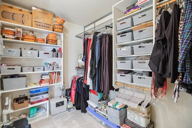 16710 Sabertooth Dr, Round Rock, TX 78681 - spacious closet with carpet flooring