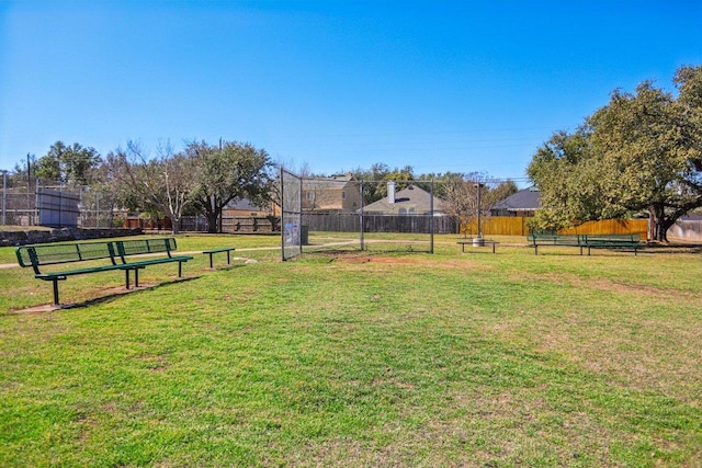 16710 Sabertooth Dr, Round Rock, TX 78681 - view of yard