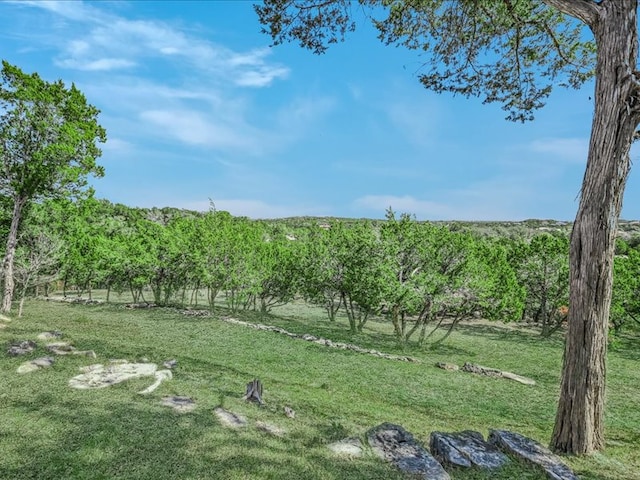 107 N Angel Light Dr, Spicewood, TX 78669 - photo 22