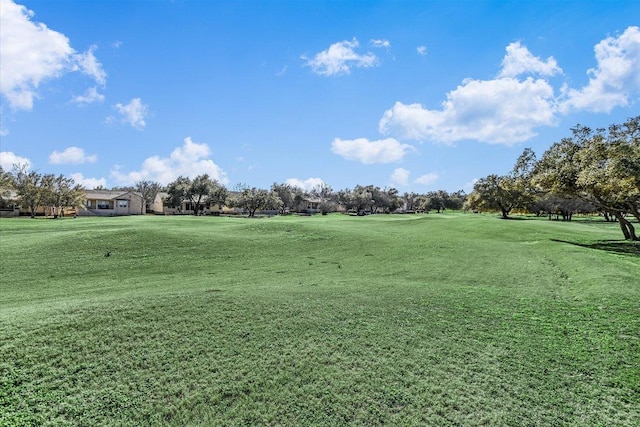 130 Crepe Myrtle Ln, Georgetown, TX 78633 - photo 21