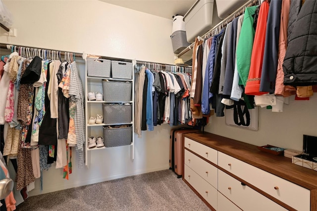 spacious closet with carpet flooring