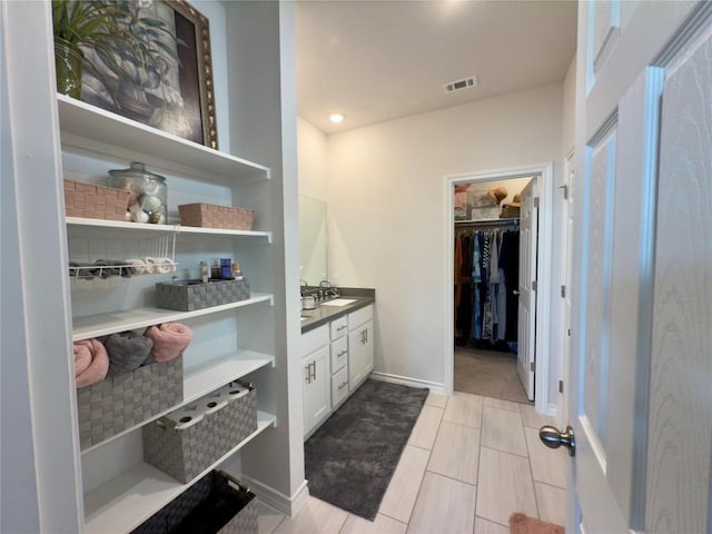 171 Longstraw Dr, Buda, TX 78610 - bathroom featuring vanity, decorative backsplash, and a spacious closet