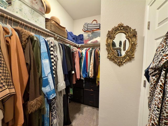 171 Longstraw Dr, Buda, TX 78610 - walk in closet with carpet floors