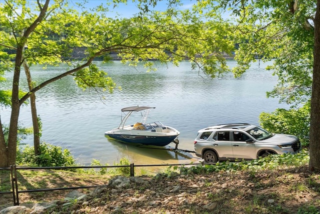 3011 Chisholm Trl, Austin, TX 78734 - water view with a dock