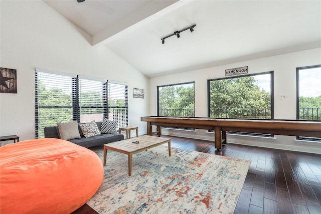 living room featuring track lighting, a healthy amount of sunlight, dark wood finished floors, and beamed ceiling